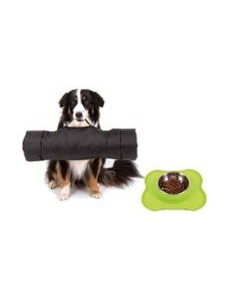 Hund & Haustier