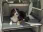 Preview: Hundematratze - Heckauflage für VW T5/T6 California